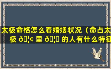 太极命格怎么看婚姻状况（命占太极 🦢 里 🦄 的人有什么特征）